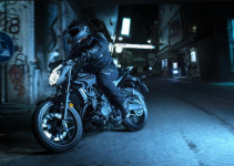 YAMAHA MT25