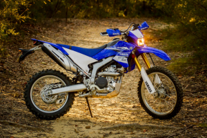 yamaha wr250r